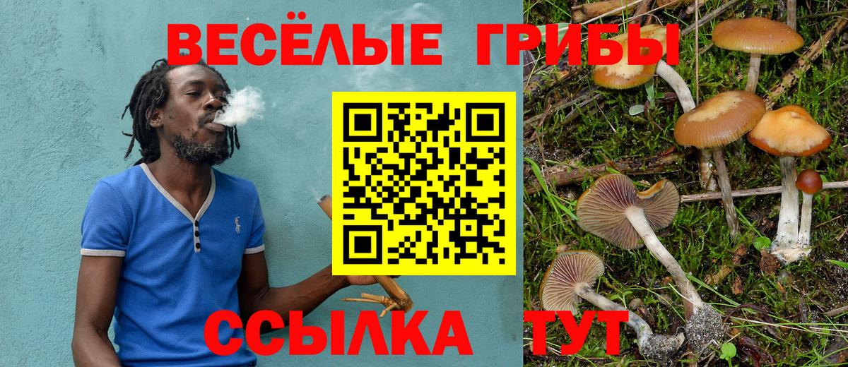 Галлюциногенные грибы мухоморы  Галлюциногенные грибы прущие грибы  Дивногорск  Вход с VPN 